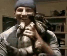 11.gif