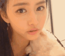 2.gif
