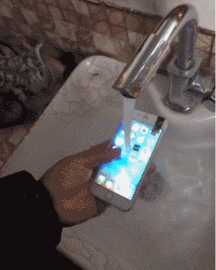 1.gif