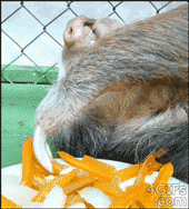 3.gif