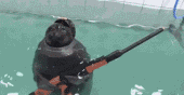 13.gif