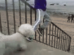 微信图片_20170323135504.gif