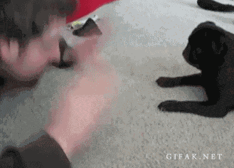 微信图片_20170323135446.gif