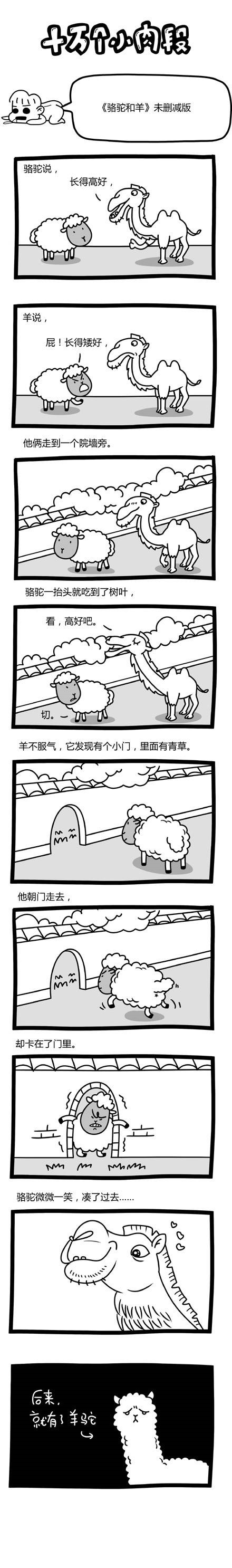 【幽默逗趣016】羊驼的起源：画面太污不可描述